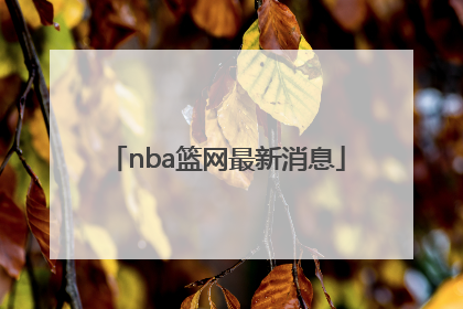 「nba篮网最新消息」nba中文网最新消息