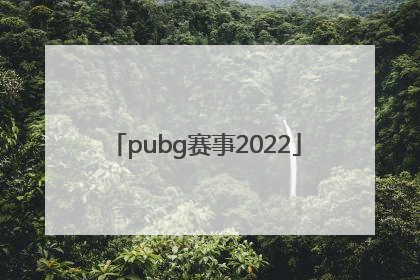 「pubg赛事2022」pubg赛事2020
